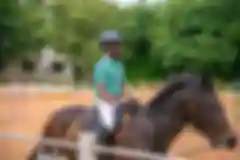 Ride glorious race horses under expert supervision